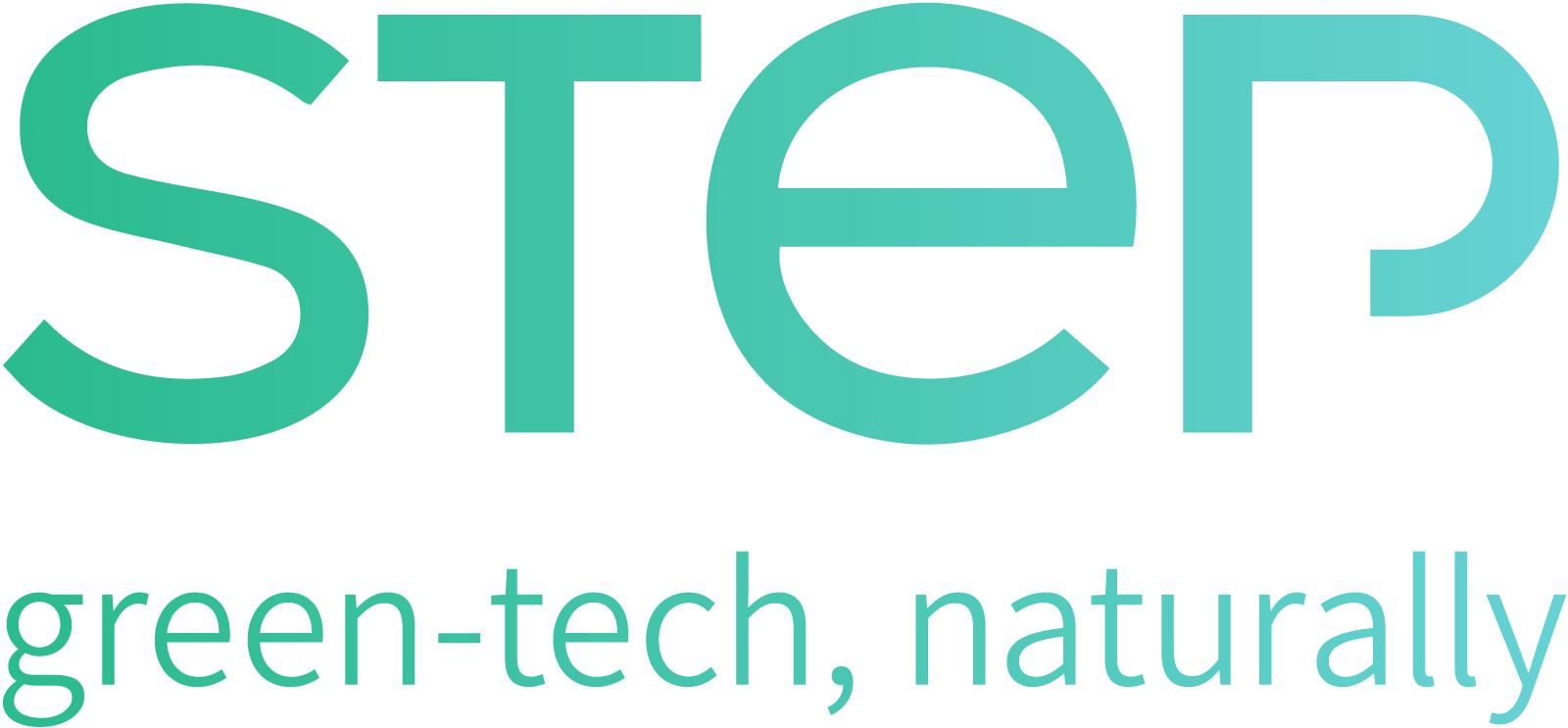 step logo