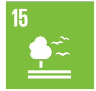 Immagine della Soluzione dal territorio