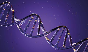 Vai alla notizia “Lombardia è Ricerca” prize, discover the 15 top scientists of the Jury