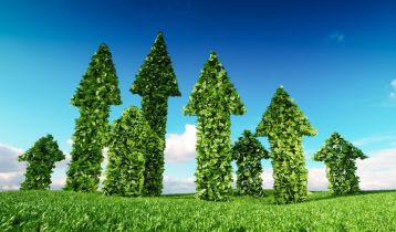 Vai alla notizia Il 14/1 scopri il Rapporto 2024 PoliS Lombardia “Sostenibilità è innovazione”
