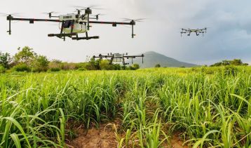 Vai alla notizia Agricoltura 4.0, il 13/2 i risultati della Ricerca dell’Osservatorio PoliMI