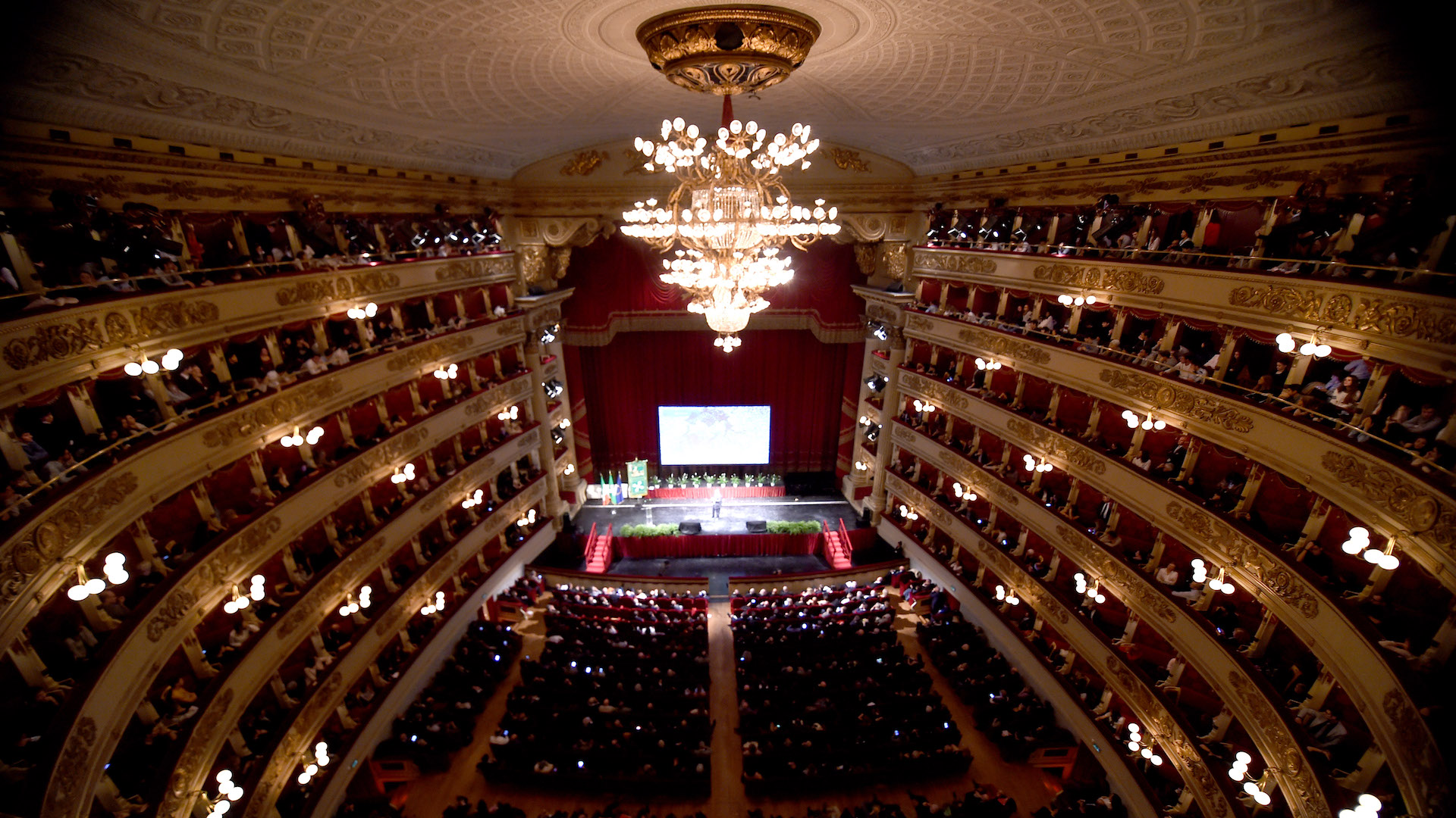 Immagine del carousel