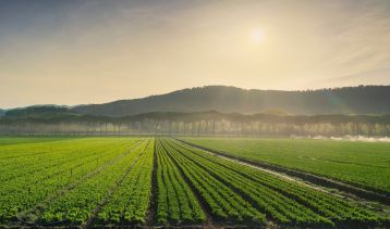 Vai alla notizia AGROECOLOGY: aperta la seconda call della partnership UE 