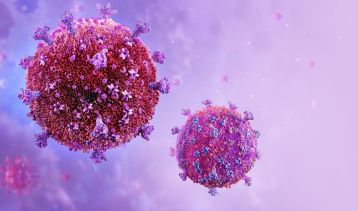 Vai alla notizia I virus, da bersagli ad alleati nelle cure: il 9-10/11 una mostra al CNR