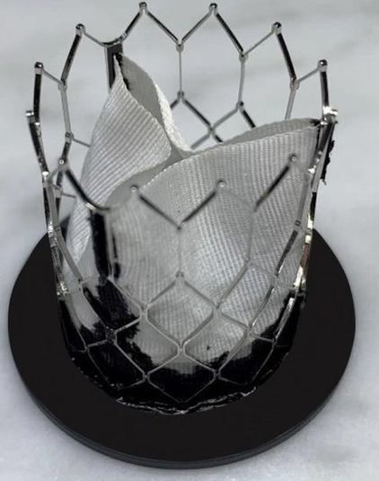 Valvola cardiaca in tessuto