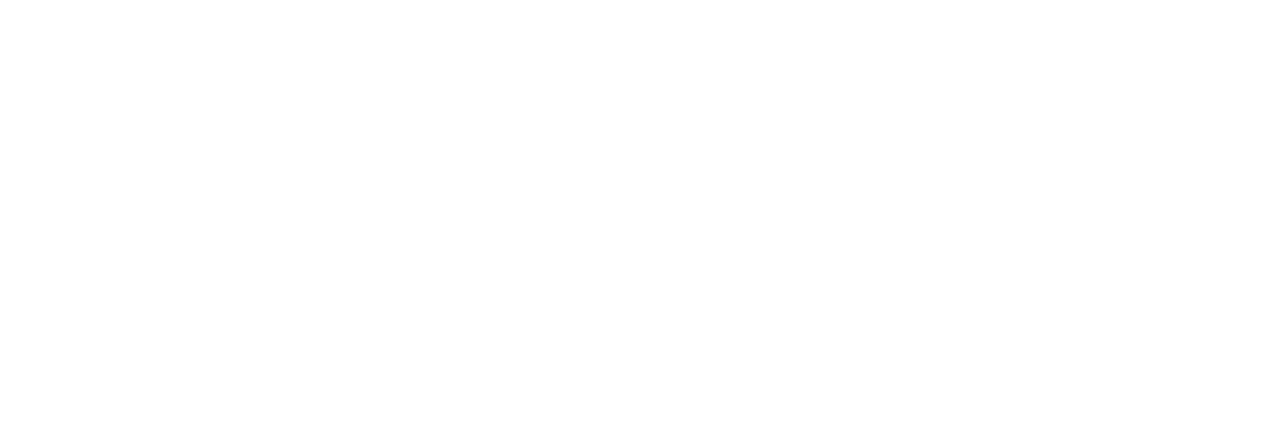OTTIMIZZAZIONE DELLA DISTRIBUZIONE HORECA NELLA CITTÀ DI BARCELLONA