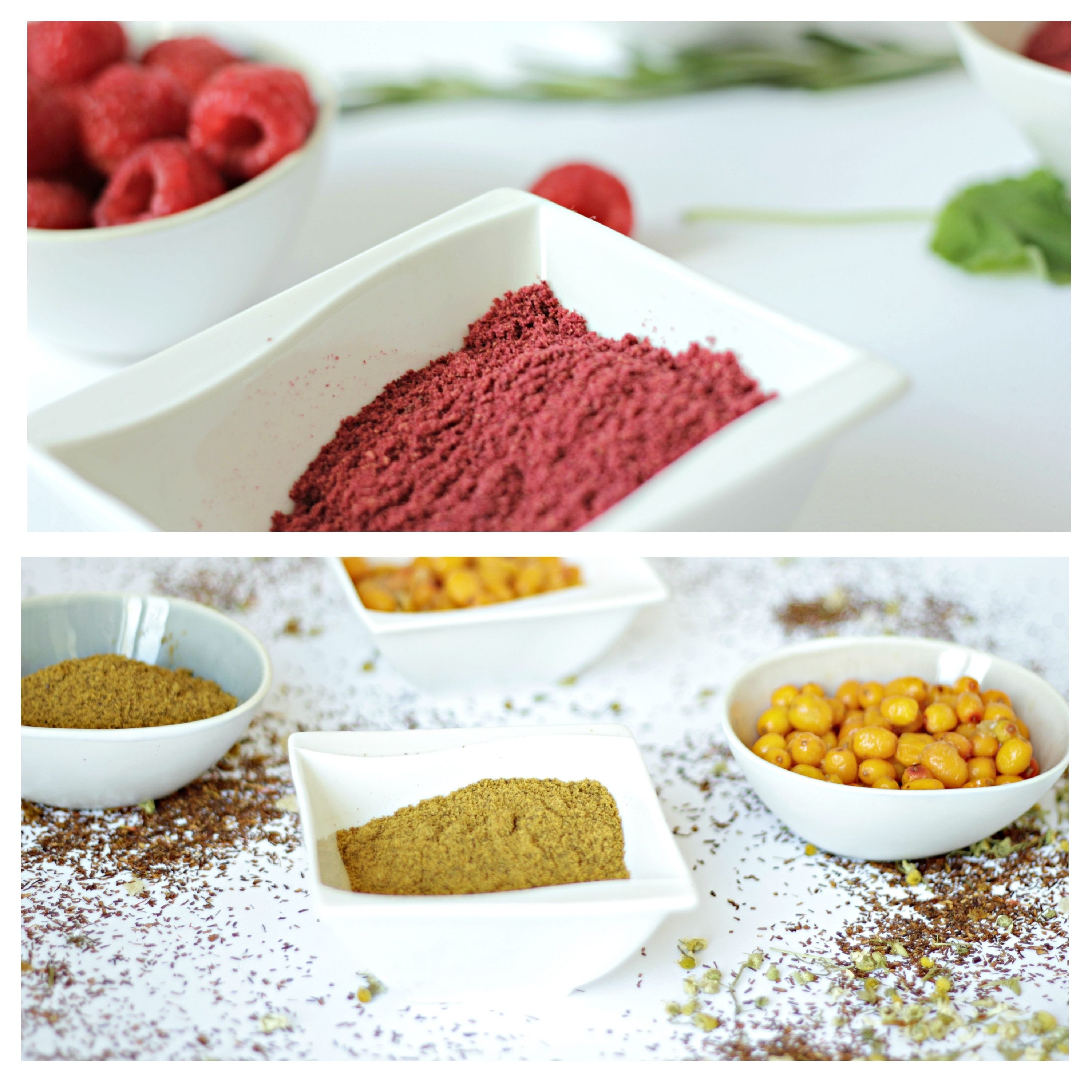 Polveri biologiche di frutti essiccati ad aria