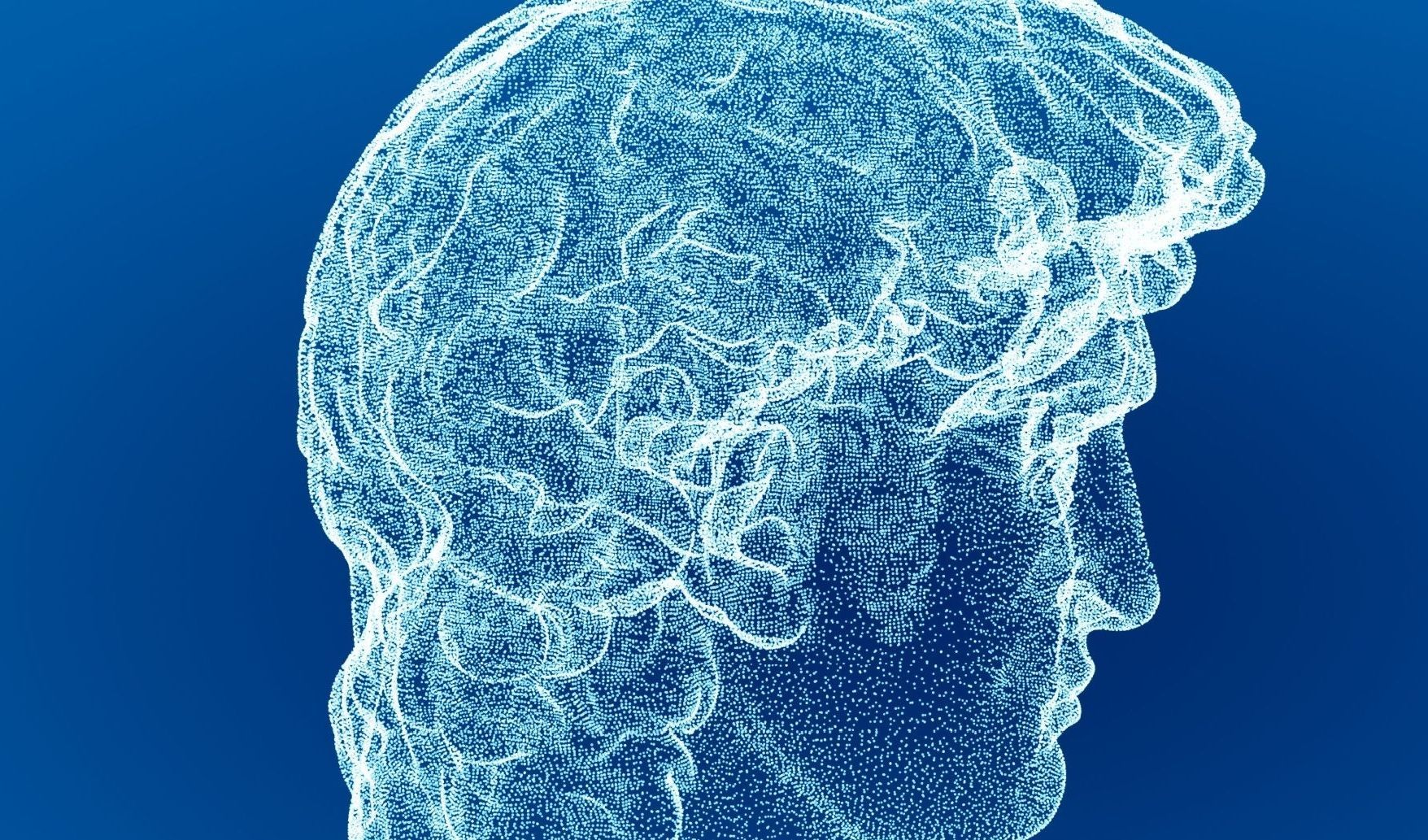 Immagine della notizia