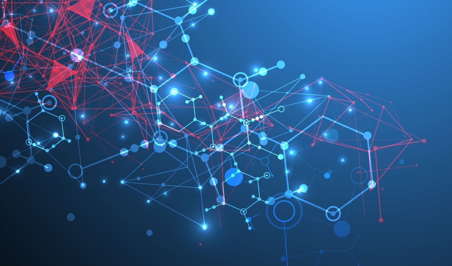 Immagine della notizia