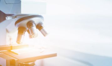 Vai alla notizia Missione in Israele, Sala: Lombardia modello in ricerca sanitaria e Life Science