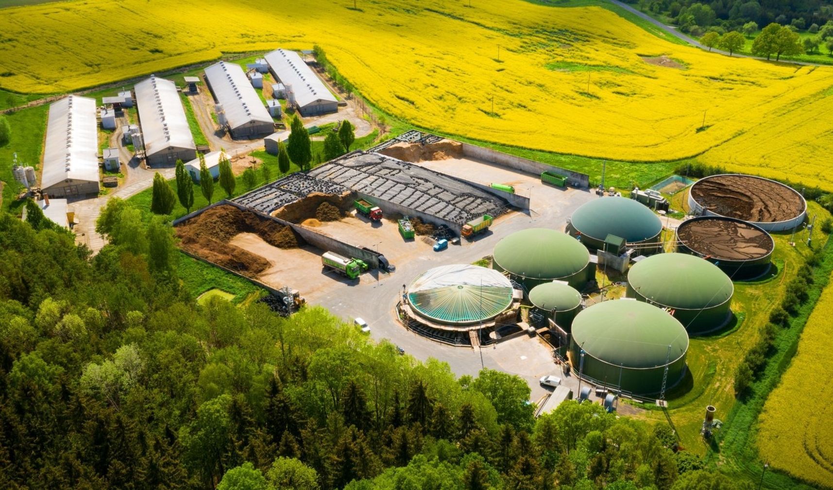 Immagine della notizia