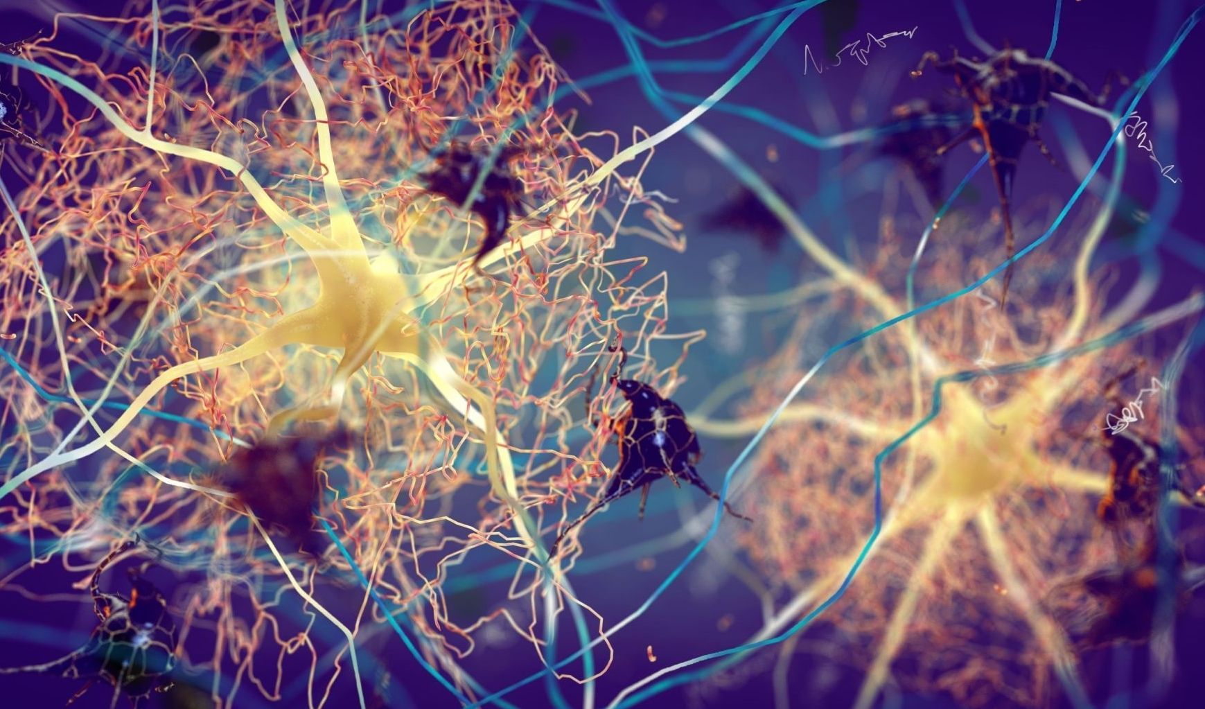 Immagine della notizia