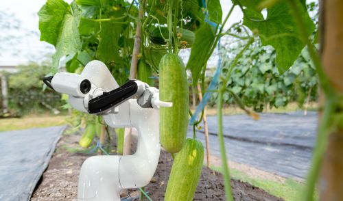 Immagine della notizia