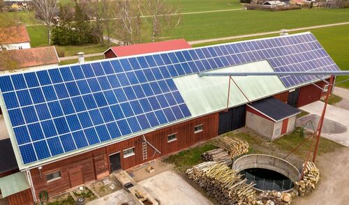 Immagine della notizia