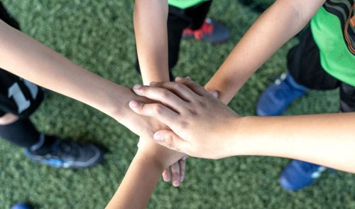 Immagine della notizia