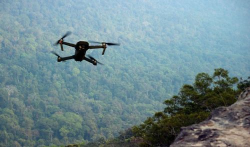 Immagine della notizia