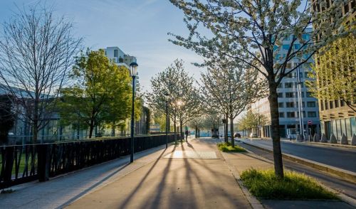 Immagine della notizia