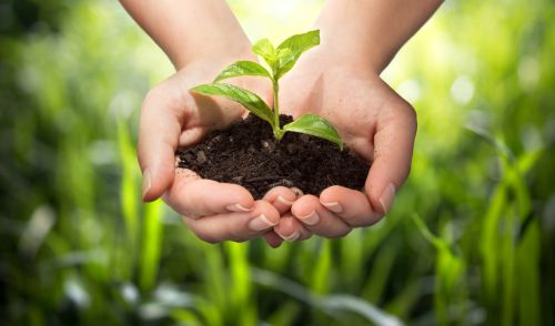 Immagine della notizia