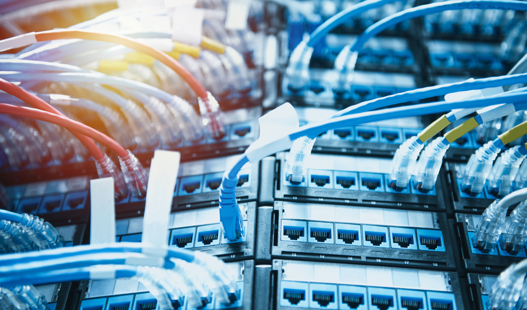 Immagine della discussione