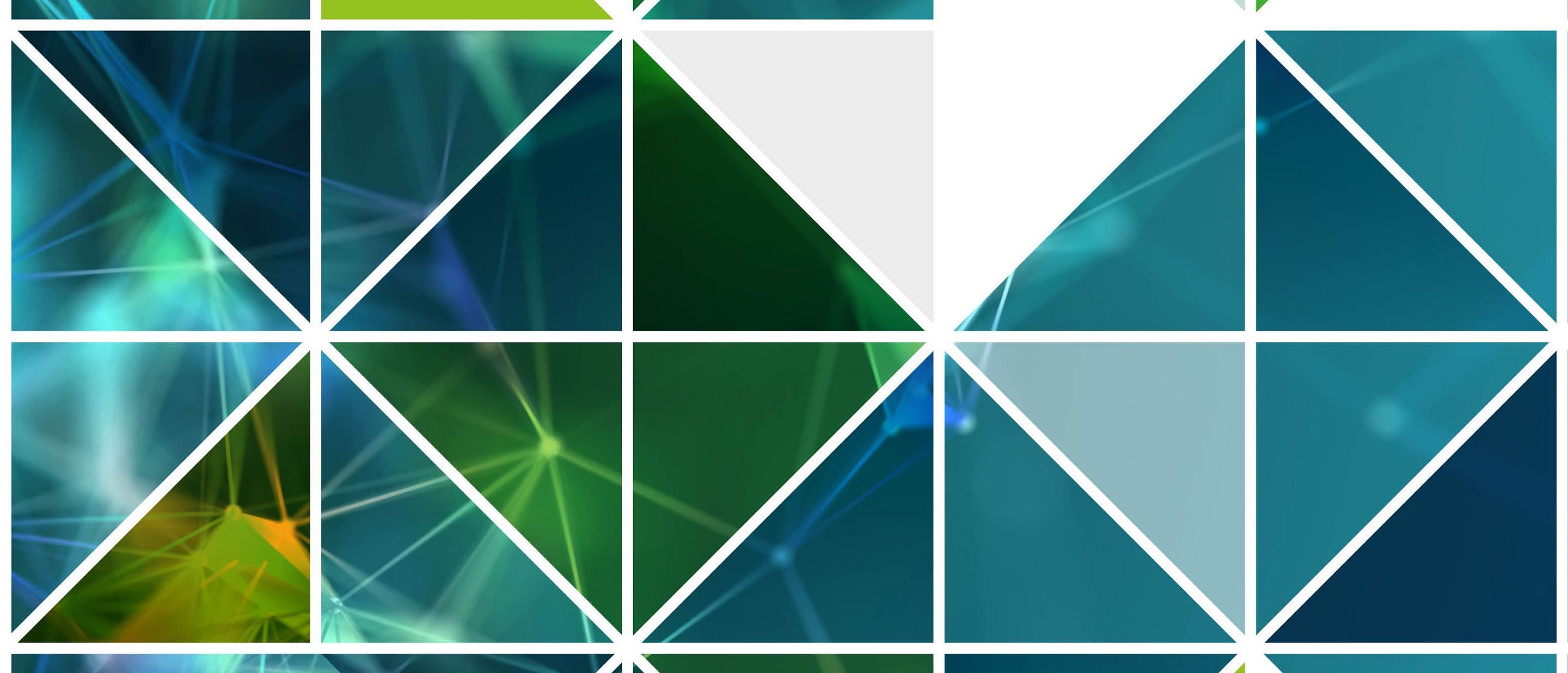 Immagine del carousel