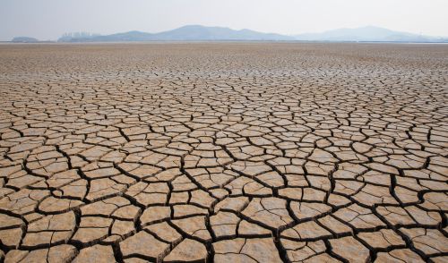 Immagine della notizia