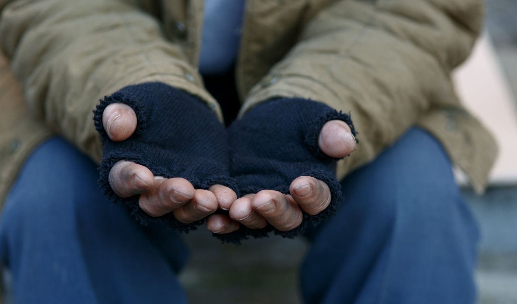 Immagine della notizia