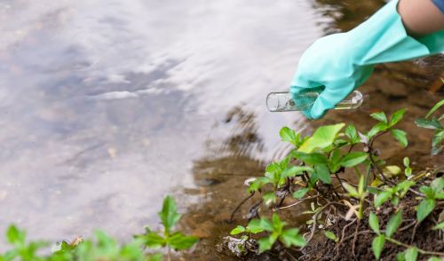 Immagine della notizia