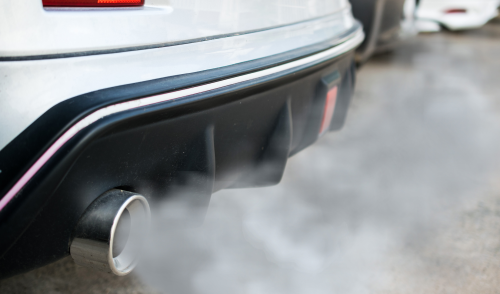 Immagine della notizia