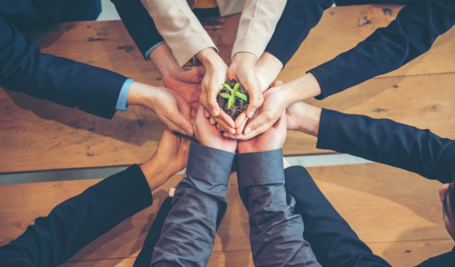 Immagine della notizia