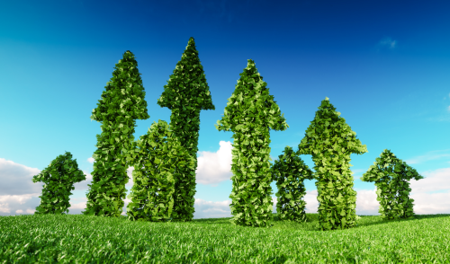 Immagine della notizia