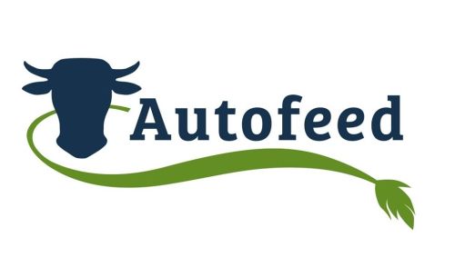 immagine della notizia