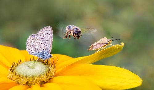 Immagine della notizia