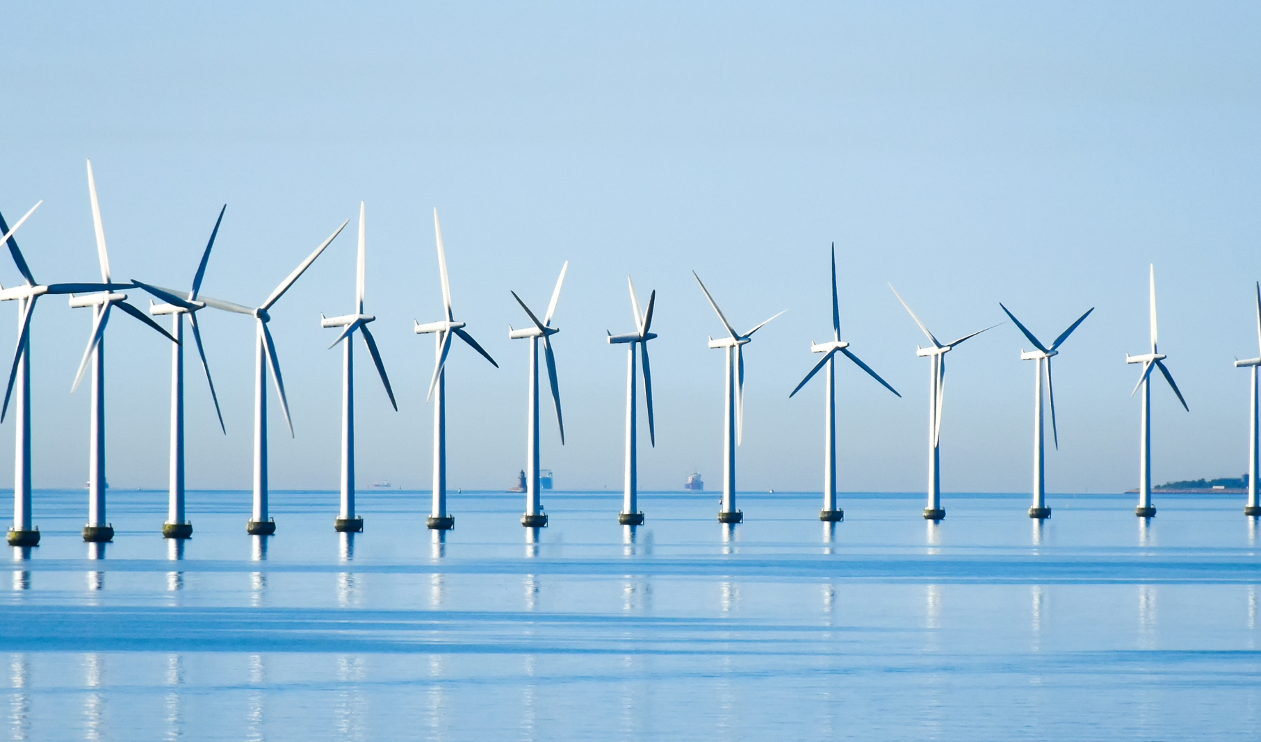 Immagine della discussione