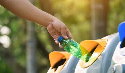 Immagine della notizia