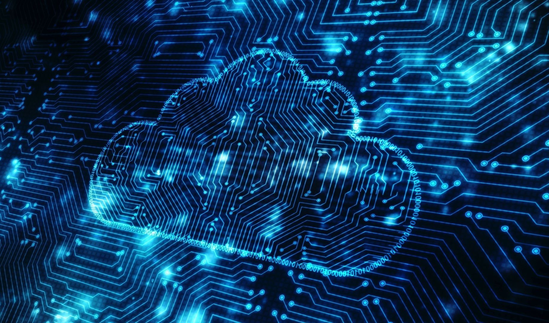 Immagine della notizia