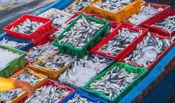 Vai alla notizia Contratti di filiera, più fondi per agroalimentare, pesca e acquacoltura
