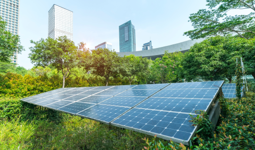 Immagine della notizia