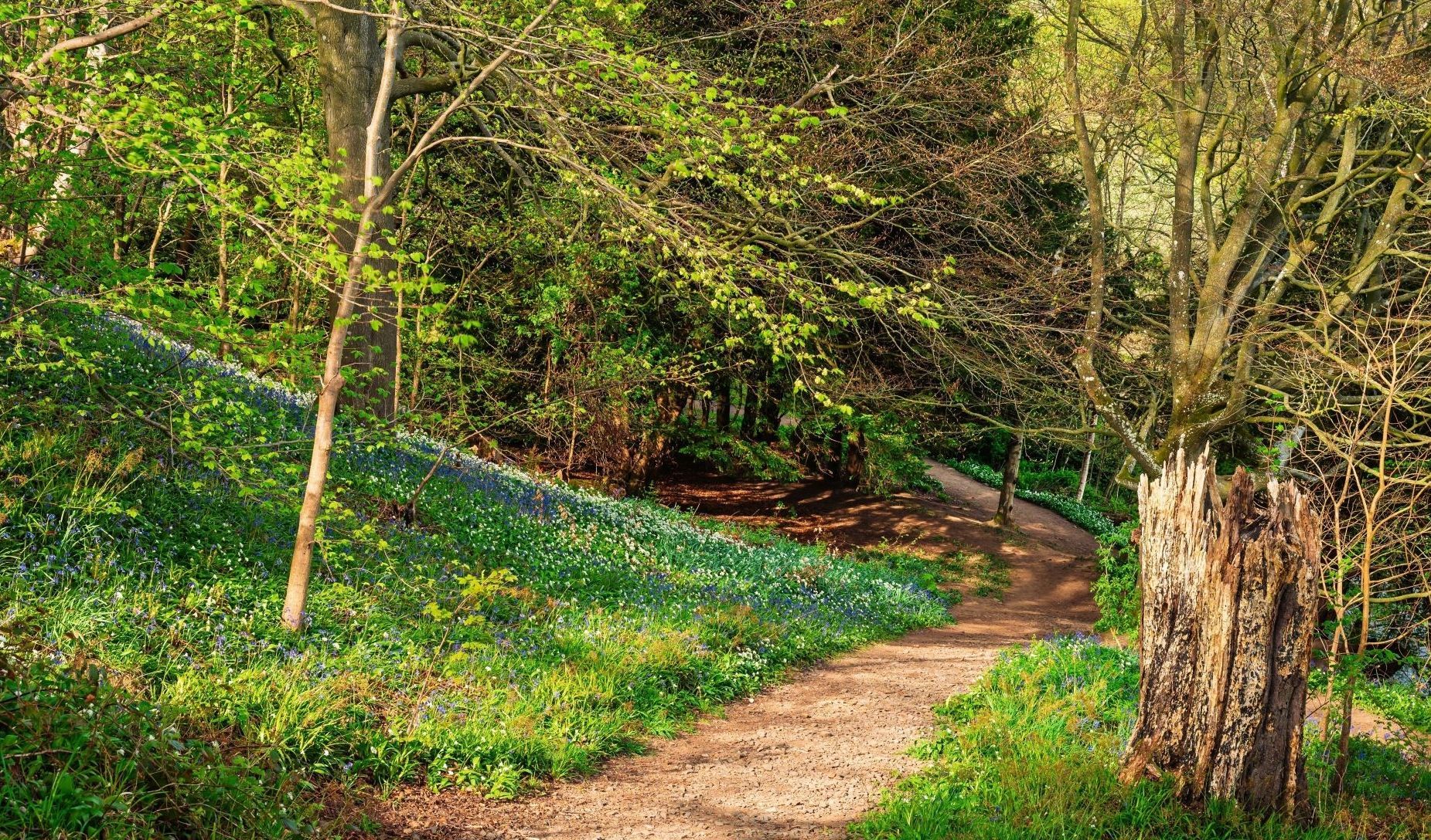 Immagine della notizia