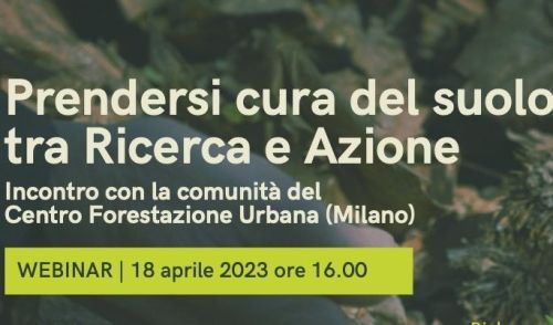 immagine della notizia