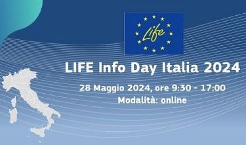 immagine della notizia