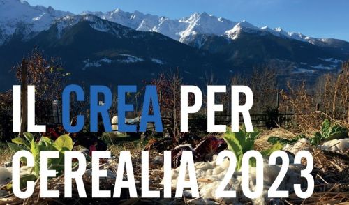 immagine della notizia
