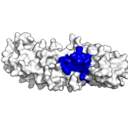 Logo Nuovi kit diagnostici per bioemergenze