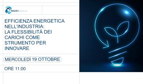 immagine della notizia