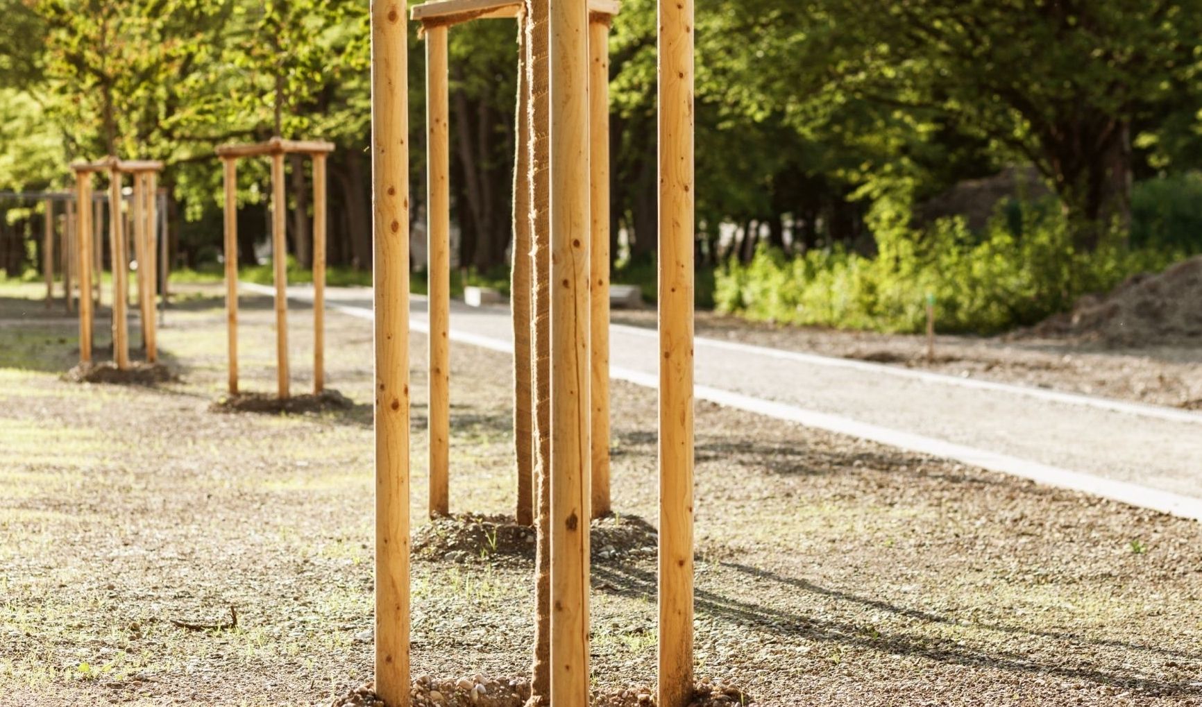 Immagine della notizia