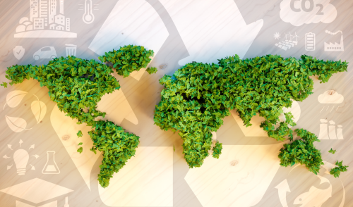 Immagine della notizia