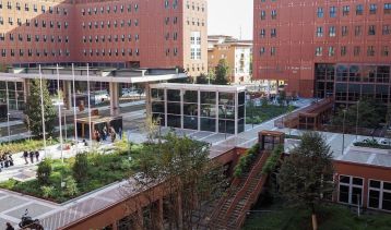 Vai alla notizia Innovazione e sostenibilità: è la nuova Piazza della Scienza di Milano Bicocca 