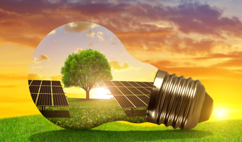 Immagine della notizia