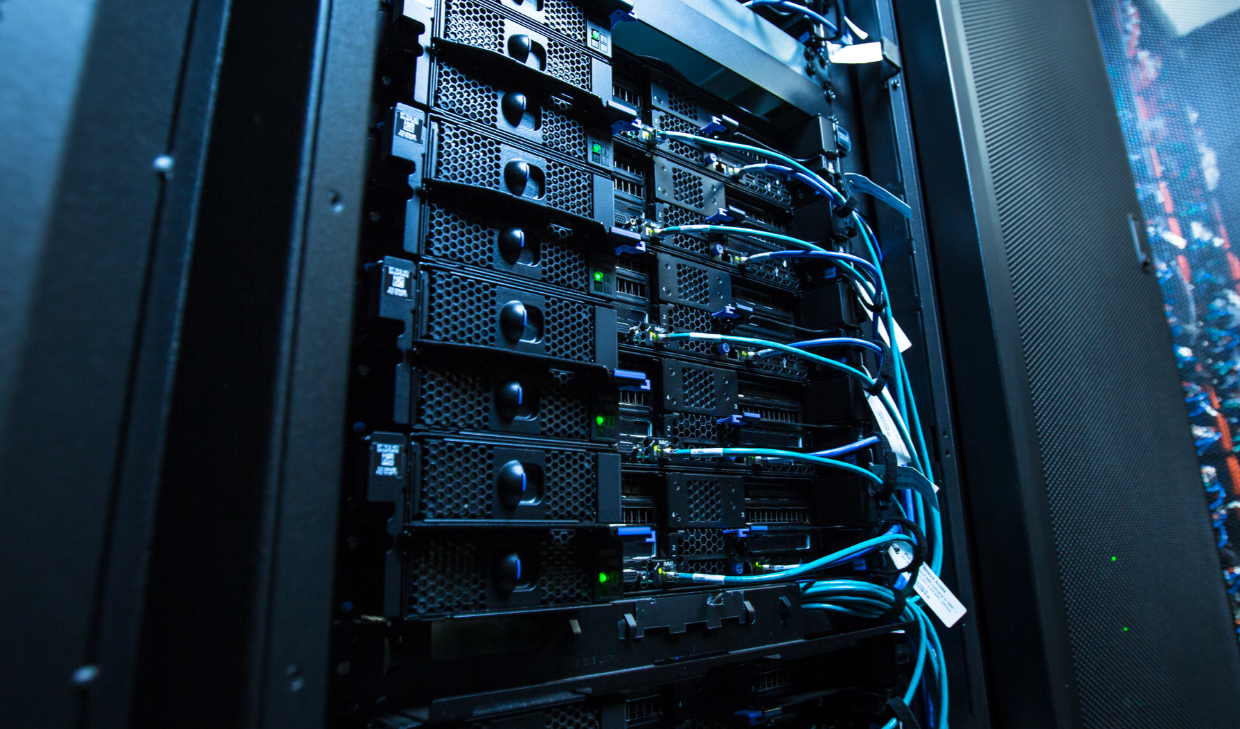 Immagine della discussione