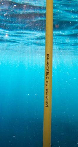 immagine impresa lombardia 2030