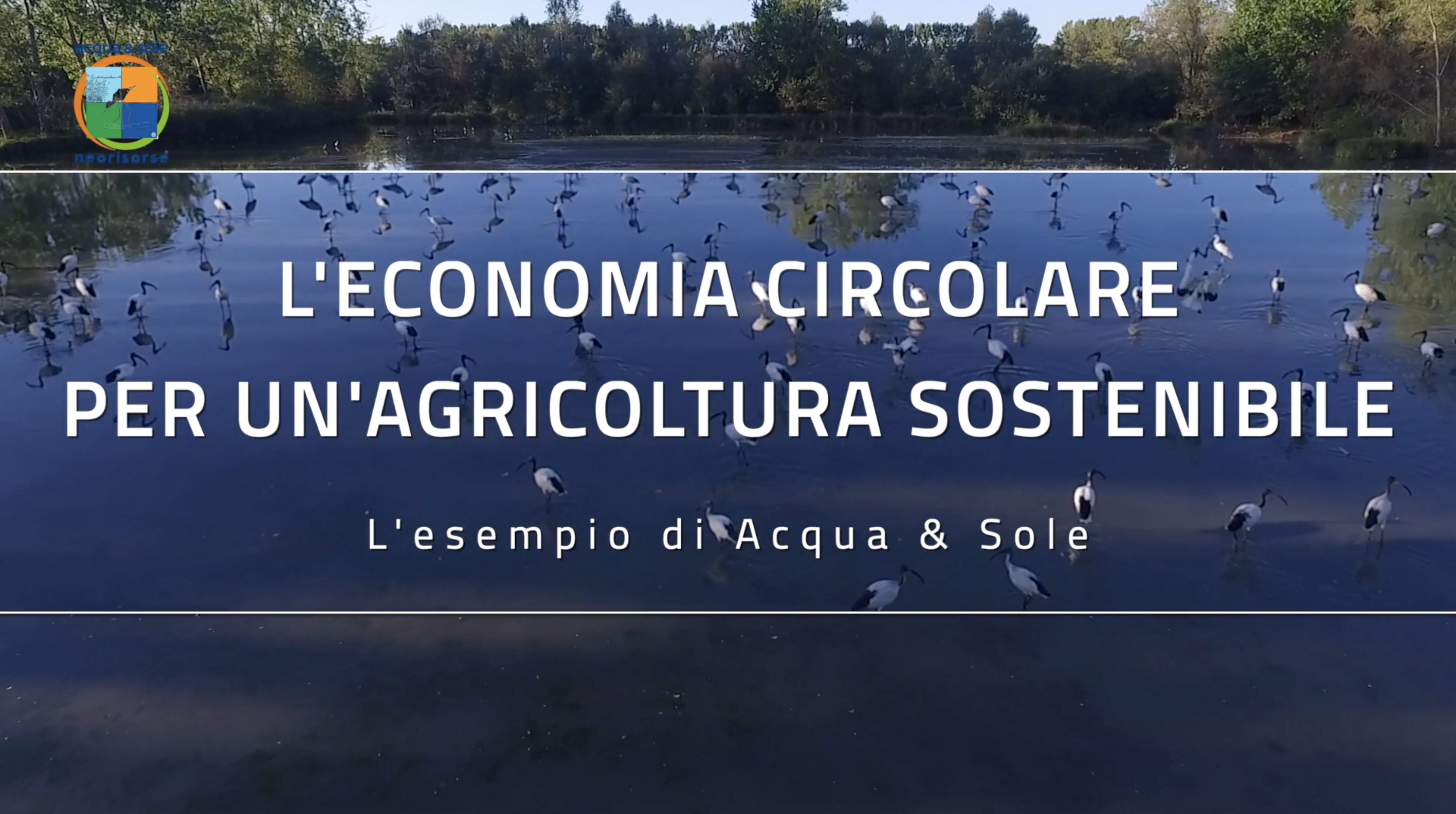 L'economia circolare per un'agricoltura sostenibile: l'esempio Acqua & Sole
